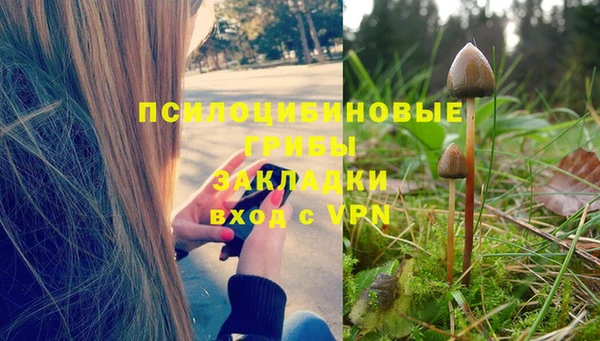 ALPHA PVP Дмитриев