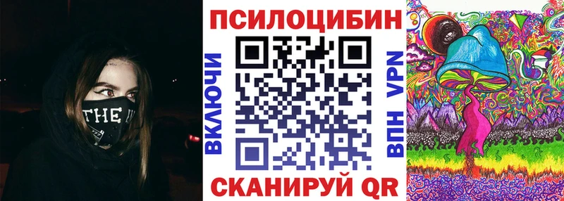 darknet какой сайт  OMG маркетплейс  Тетюши  Псилоцибиновые грибы мухоморы 